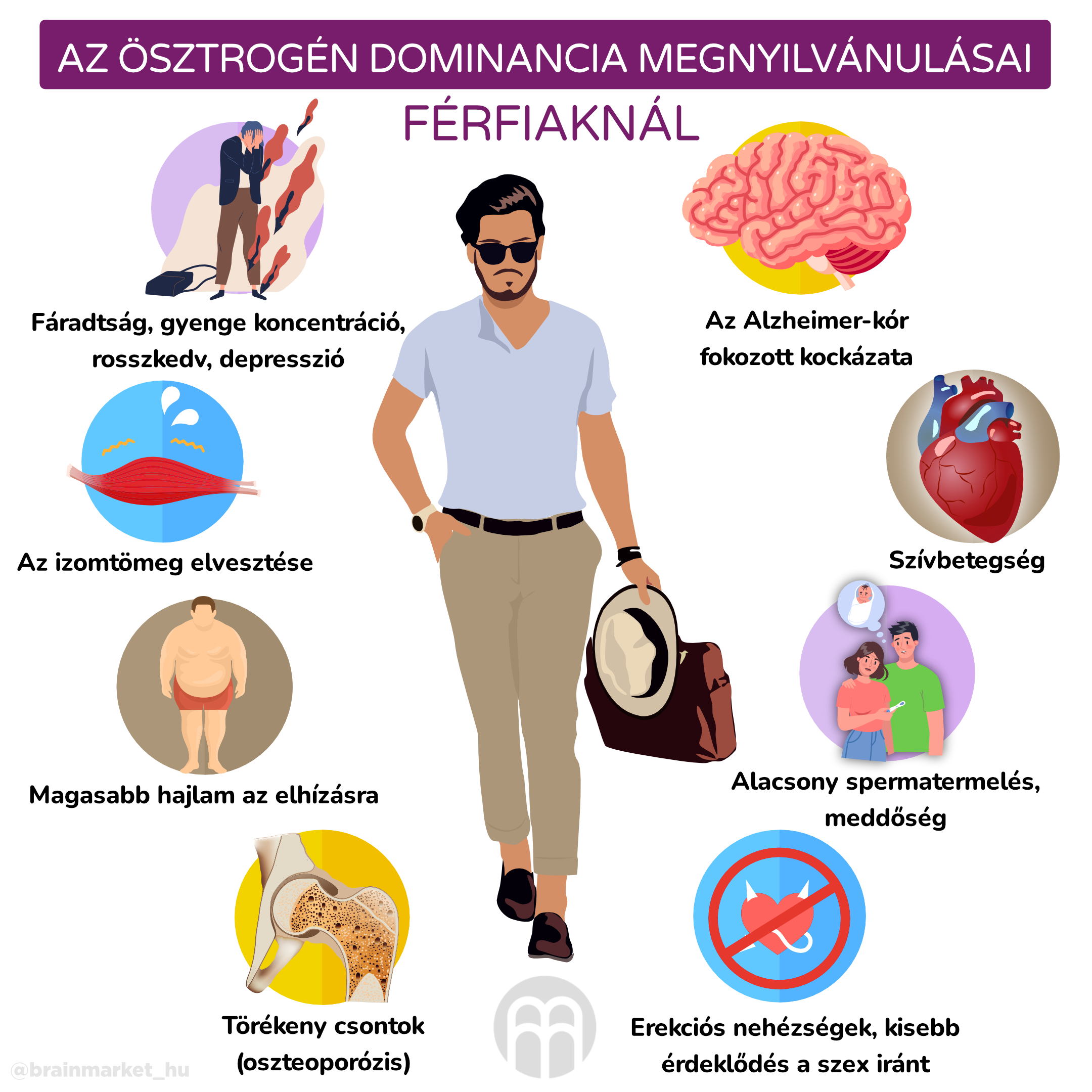 projevy estrogenove dominance u muzu_infografika_hu